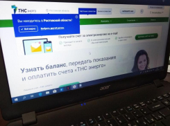 Узнать свой баланс не выходя из дома дончанам предложил поставщик «ТНС энерго»