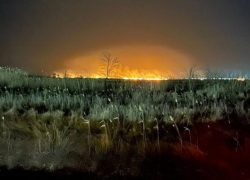 Случаи загорания сухой растительности и камыша участились в Ростовской области