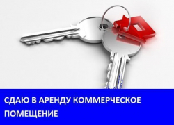 Сдается коммерческое помещение на улице Пламя Революции