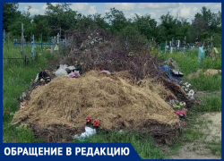 Морозовчанин из-за мусора не смог пройти к могилкам