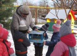 Экологическая акция "Устроим птицам праздник" прошла в детском саду №3 Морозовска 