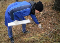 Диких плотоядных животных Ростовской области начнут прививать против бешенства