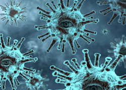 Есть данные на 26 января: подтвержденных случаев COVID-19 в Морозовском районе 716, выздоровлений - 493, умерших - 24