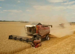 Урожай-2019: почти 200 тысяч тонн зерна собрали в Морозовском районе
