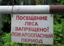Прокурор Морозовского района назвал сроки запрета на посещение леса