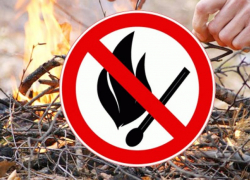 Особый противопожарный режим введет на Дону со 2 апреля