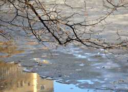 Днем солнце прогреет воздух до +4 градусов