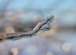 Возможны гололед и мокрый снег: Погода ухудшается по всей Ростовской области