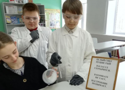 Недостаток снега этой зимой ребята из Ново-Павловской школы восполнили искусственным, нетающим