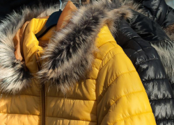 Как выбрать пуховик: рекомендации дали специалисты регионального Управления Роспотребнадзора