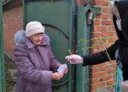 Около сотни пожилых морозовчан в праздник получили от волонтеров веточки вербы