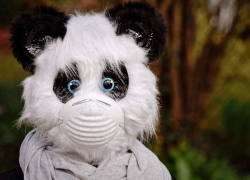 14 сентября: Подтвержденных случаев COVID-19 в Морозовском районе 90, выздоровлений - 62, умерших - 4