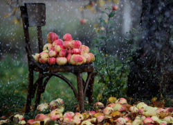 Утром 21 августа в Морозовске возможен небольшой дождь