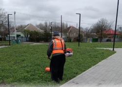 В Морозовске идет массовая борьба с сорняками