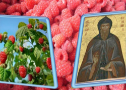 О традициях и народных приметах в день Антона Вихровея рассказала культорганизатор Вишневского СК