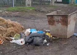 Что нельзя оставлять у мусорных контейнеров в Морозовске