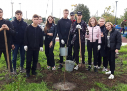 8 можжевельников и 3 клена посадили возле храма Рождества Пресвятой Богородицы в Морозовске