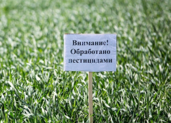 Опасным для здоровья человека и очень токсичным для пчел химикатом будут обрабатывать поля в районе хуторов Морозов и Веселовка