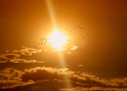 Немного облачно и жарко будет в Морозовске в среду, 17 августа