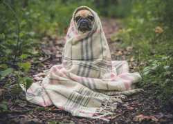 Всего +23 градуса тепла обещают морозовчанам в пятницу, 14 августа