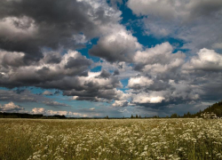 Облачно и жарко будет в Морозовске в среду, 11 августа