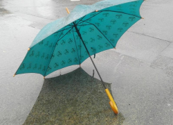 Небольшой дождь и до +1 градуса тепла обещают морозовчанам в середине недели