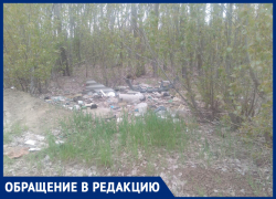 У людей совсем нет совести: Маленький лесок в "Лазориках" забросали мусором и контрацептивами