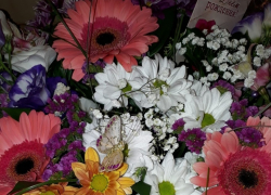 Цветы- лучший подарок? Заходи в Справочник