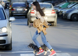 Стартовал всероссийский конкурс «Безопасная дорога – детям»