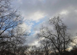 Переменную облачность и до +2 градуса тепла обещают морозовчанам в четверг