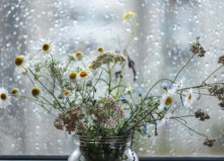 Снова дождь: ветреную и сырую погоду обещают морозовчанам в среду