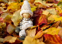 Всего +8 градусов тепла ожидается в Морозовске в среду, 20 октября