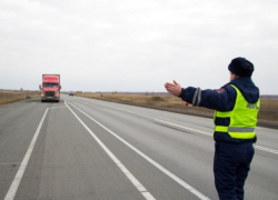 1200 бараньих шкур без документов задержали на посту ДПС под Морозовском