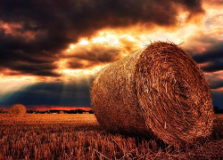 Облачно и жарко будет в Морозовске в четверг, 19 августа