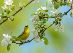 Теплой и солнечной станет в Морозовске воскресенье 17 мая
