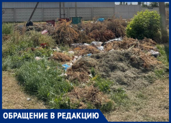 "Приехала в гости к маме и охренела": на улицах Морозовска опять растут вонючие мини-свалки
