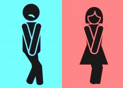 Вопрос-ответ: Почему в гимназии №5 Морозовска для детей открыт только один туалет на первом этаже?