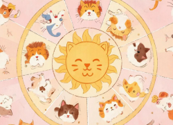 Что приготовили звезды морозовчанам в последнюю предновогоднюю неделю