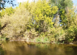 +22 и солнце: во вторник в Морозовске станет теплее