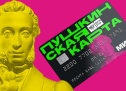 Школьникам и студентам Ростовской области рекомендуют заранее перевыпустить «Пушкинские карты»