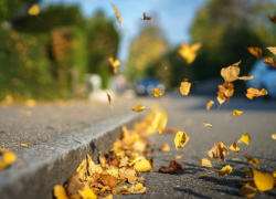 До +20 градусов тепла прогнозируют морозовчанам в конце недели