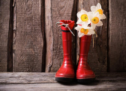 Облачный, но теплый день ожидает морозовчан в среду 