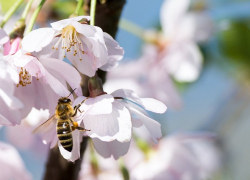 Впереди у Морозовска теплая неделя, хоть и с дождями