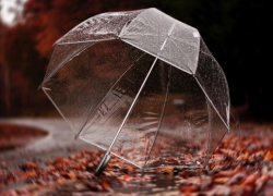 Похолодание и дожди придут в Морозовск во второй половине недели