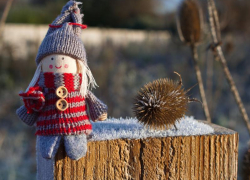 Резкое похолодание ожидается в Морозовске на выходных