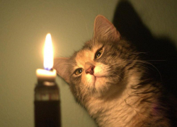 Три часа без электричества проведут жители улиц Кольцевая, Жукова, Котельникова, Крылова и переулка Охотничий