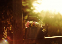 Комфортная погода без осадков ожидается в Морозовске в четверг