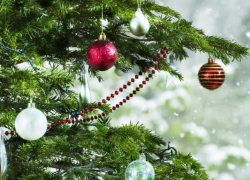 Вопрос-ответ: Родители лицеистов поинтересовались, почему нельзя проводить елку в школе и куда делись деньги с ярмарки