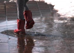 Долгожданное потепление придет в Морозовск 22 января