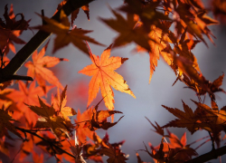 В понедельник в Морозовске станет немного теплее